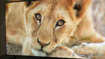 CES 2020 shows off the big tech trends for the year ahead video     - CNET