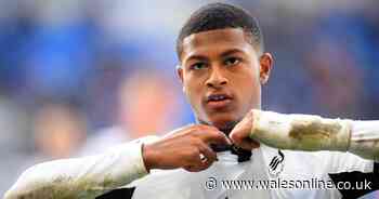 Swansea City's Lee Trundle delivers Cardiff City verdict on Liverpool's Rhian Brewster and makes telling observation