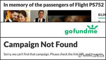 Iran plane crash fundraisers shut down by GoFundMe without explanation