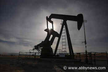 Elections Canada says Wexit Canada is eligible to run candidates federally