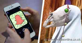 You can now turn yourself into a Mari Lwyd on Snapchat and here's how