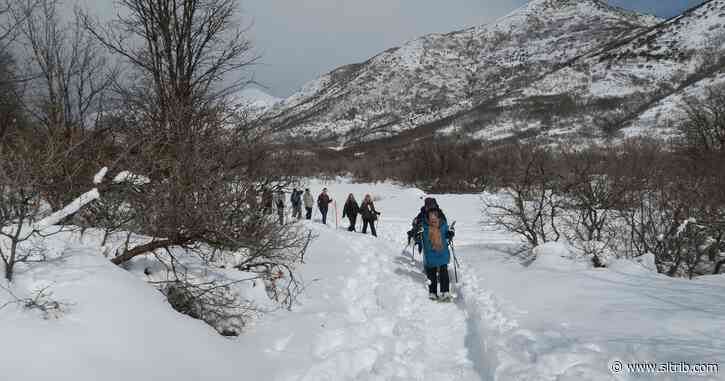 Tree Utah to host fourth annual snowshoe hike