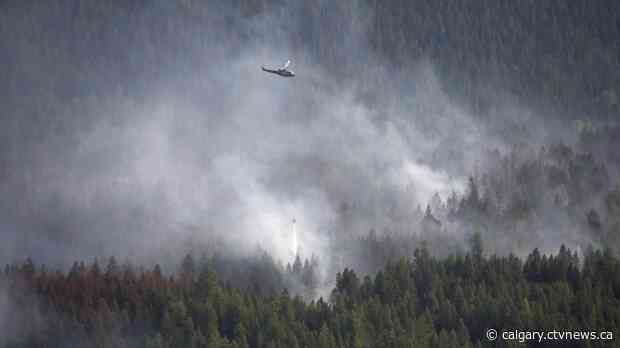 Fewer trees, less undergrowth: Study says wildfires changing boreal forest