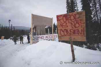 B.C. human rights commissioner asks Canadian government to halt Coastal GasLink
