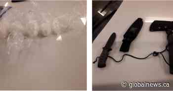 Crystal meth, weapons seized after vehicle search near Dalmany, Sask.