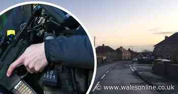 Road closed as armed police called to property in Gorseinon, Swansea