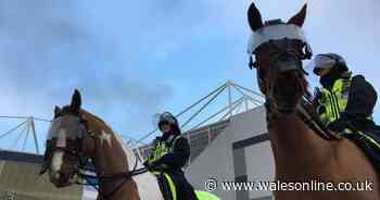 Police praise football fans as three arrests made at Cardiff City v Swansea City derby clash