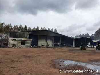 Arnhemse ontsnapte aan bosbranden in Australië: ‘Binnen drie kwartier alles gepakt’