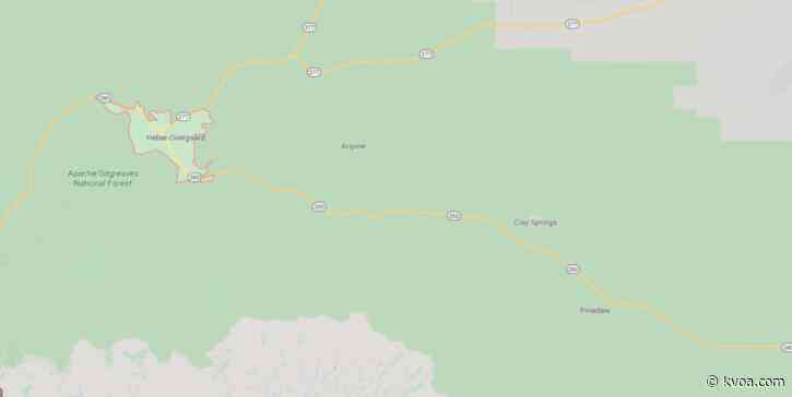 8 horses found fatally shot in the Heber-Overgaard area