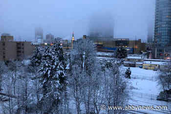 Up to 20 centimetres of snow expected in parts of Lower Mainland