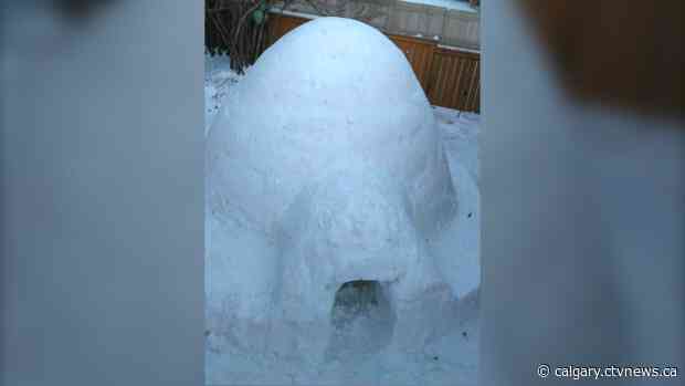 Igloo Airbnb listing offers chance to experience winter from comfort of Calgary backyard