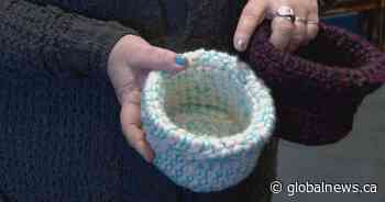 Lethbridge woman knits items to help injured animals in Australia