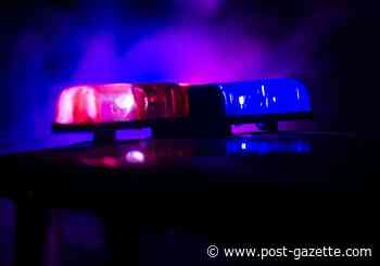 Homestead man arrested for abuse of stepchildren