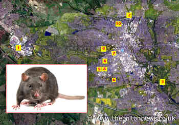 Bolton's top 10 postcodes visited by pest control revealed