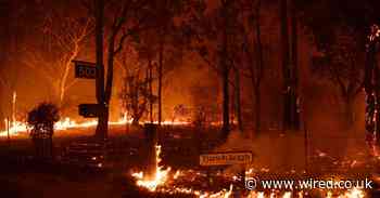 This is how Australia could recover from its devastating wildfires