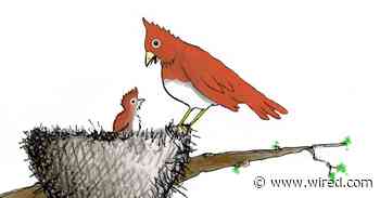 Today's Cartoon: Learn to Code