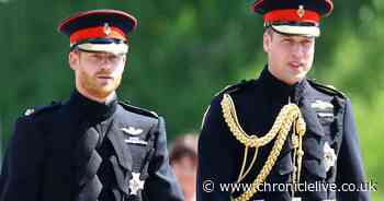 Prince Harry and Prince William issue statement on 'false story' amid royal crisis talks