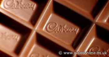 Cadbury is launching a dark chocolate Easter egg inspired by an iconic bar