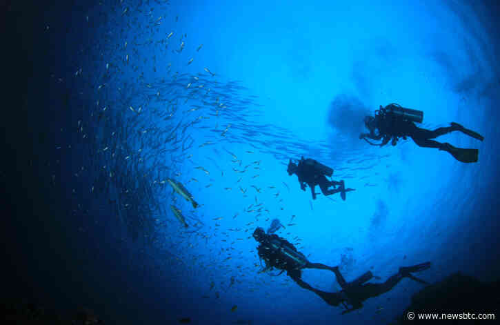 Troubling Sign: Bitcoin’s Surge to $8.2k Was Much Weaker Than to $12k, Data Shows