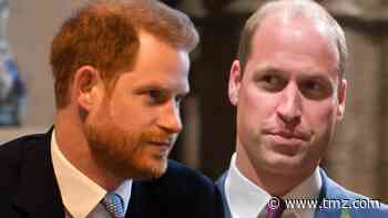 Prince Harry & Prince William Deny Report of Will's 'Bullying Attitude'