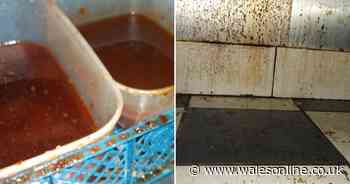 Takeaway owner jailed for having 'unspeakably dirty' kitchen at Grace Chinese in Pembrokeshire