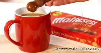 Maltesers now come in biscuit form and they're perfect for tea dunking