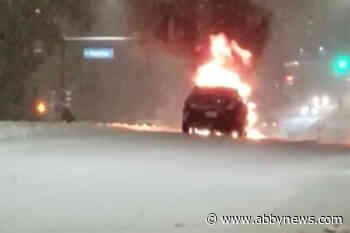 VIDEO: Snow leads to stranded cars, closed schools and chaos on Lower Mainland roads