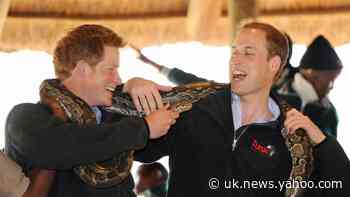 William and Harry’s brotherly bond appeared unbreakable