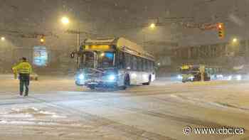Snowed-in B.C. braces for blast of Arctic air