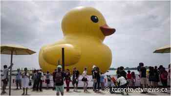 World’s largest rubber duck returning to Toronto’s waterfront
