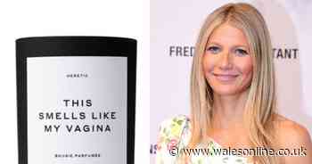 Gwyneth Paltrow is selling a candle called 'This Smells Like My Vagina' on her website