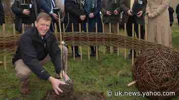 Trees grown from seeds that spent six months in space planted by Tim Peake