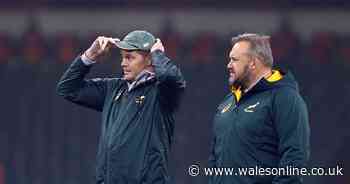 Rugby evening headlines as Welsh bolter talks international hopes and England bring in South Africa's forwards coach ahead of Six Nations