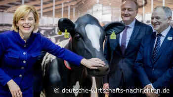 Nach CO2-Sondersteuer: Nun droht die Tierwohl-Steuer