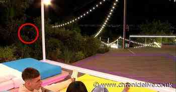 Love Island viewers spot mystery man in bushes metres away from Islanders