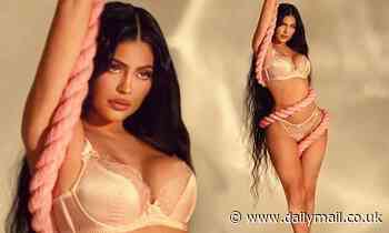 Kinky Kylie Jenner wears racy lingerie and very long black wig while tangled up in rope