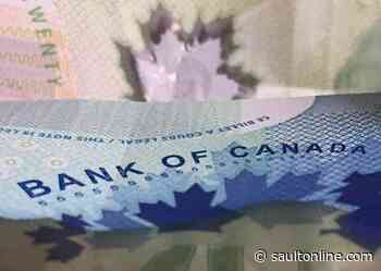 Personal insolvency filings over 12 months increased 8.9 per cent in November