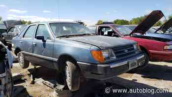 Junkyard Gem: 1985 Ford Tempo GL sedan