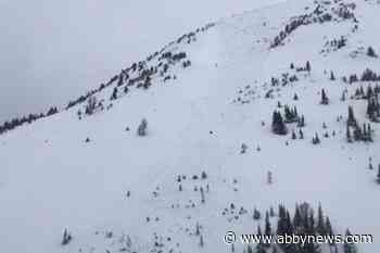 Skier dies after being caught in avalanche in Banff