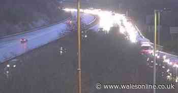 Two school buses crash near M4 in Bridgend