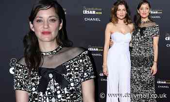 Marion Cotillard exudes glamour in a printed gown as she joins Laetitia Casta at French cinema