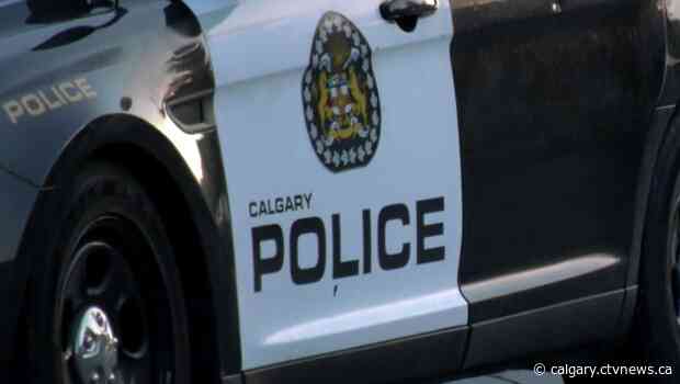 Calgary man under arrest following break in at southeastern Calgary school