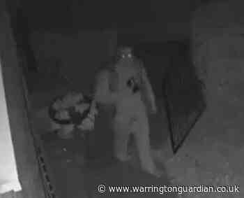 CCTV: Man attempts to force his way into pensioner’s home