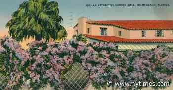 Wealth and Fraud in 1920s Florida