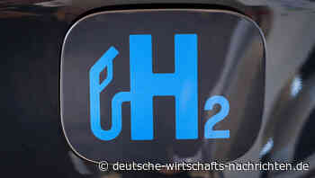 Experte fordert Förderung der Wasserstoff-Technologie
