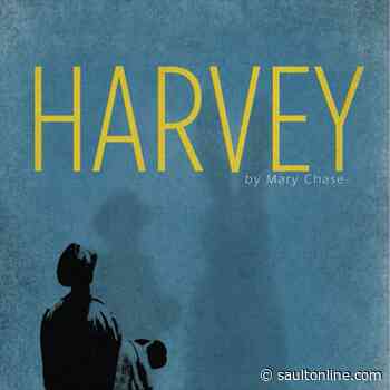“HARVEY” will Have You in Stitches
