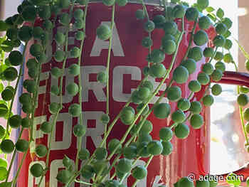 Amp spotlight: What agencies are doing to improve office culture