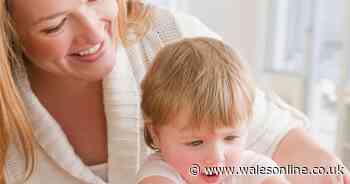 Lidl is having a baby and toddler event this week - with up to 64 per cent off Tommee Tippee products