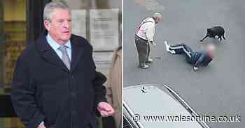 Man punched to ground and left with broken hip as pensioners brawl in parking dispute