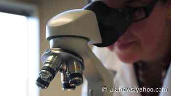 Gut bacteria could improve symptoms in Parkinson’s sufferers, study suggests